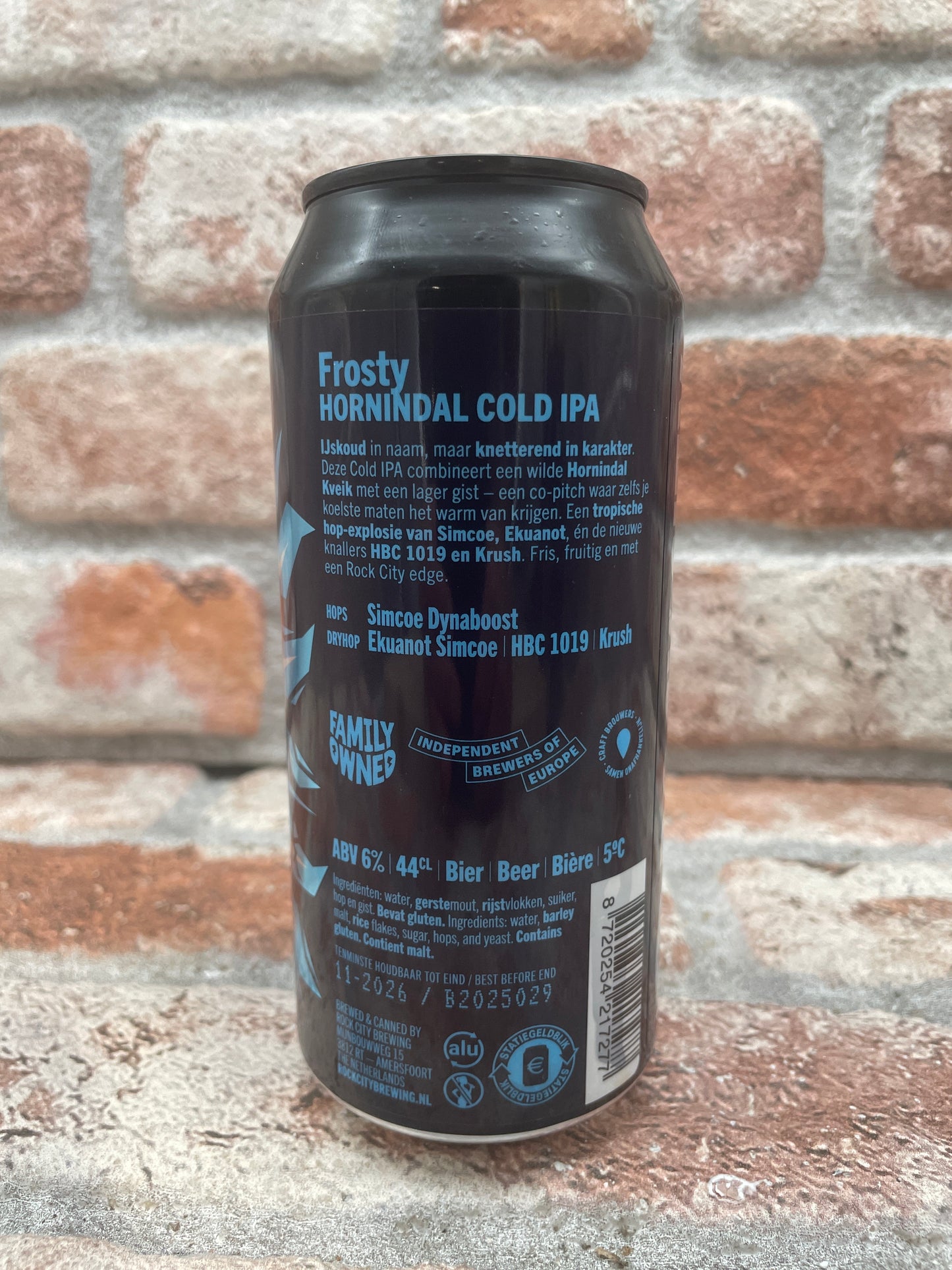 Rock City Frosty Hornindal Freddo IPA - 44 CL