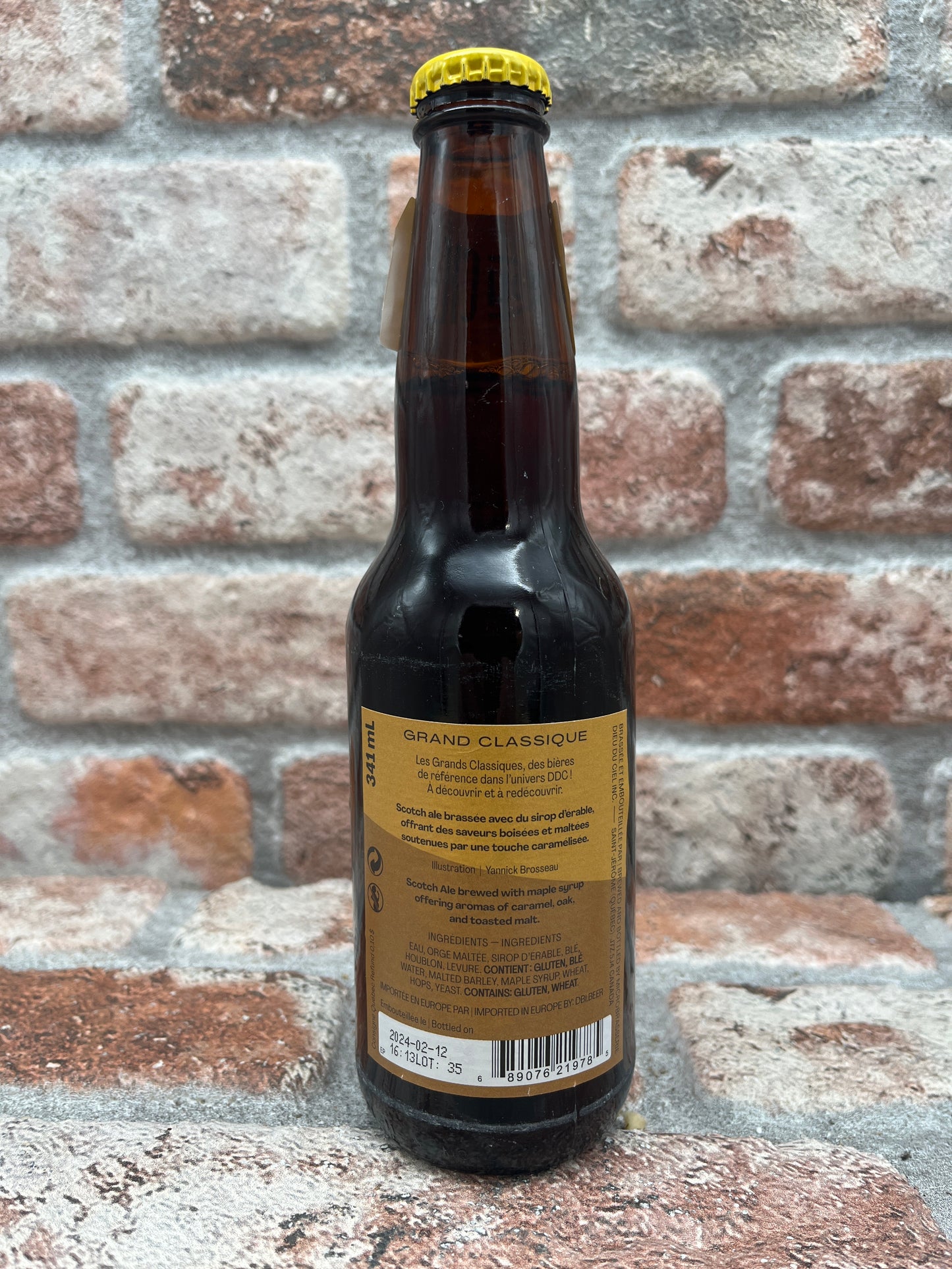 Brasserie Dieu Du Ciel!Quadrupel Equinozio di Primavera - 35 CL