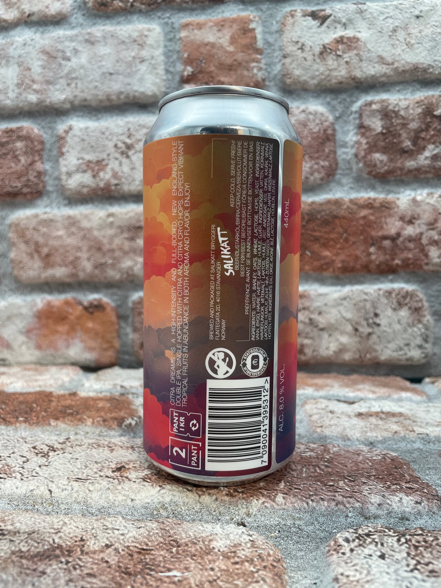 Salikatt Citra Dreams Nuova Inghilterra DIPA - 44 CL