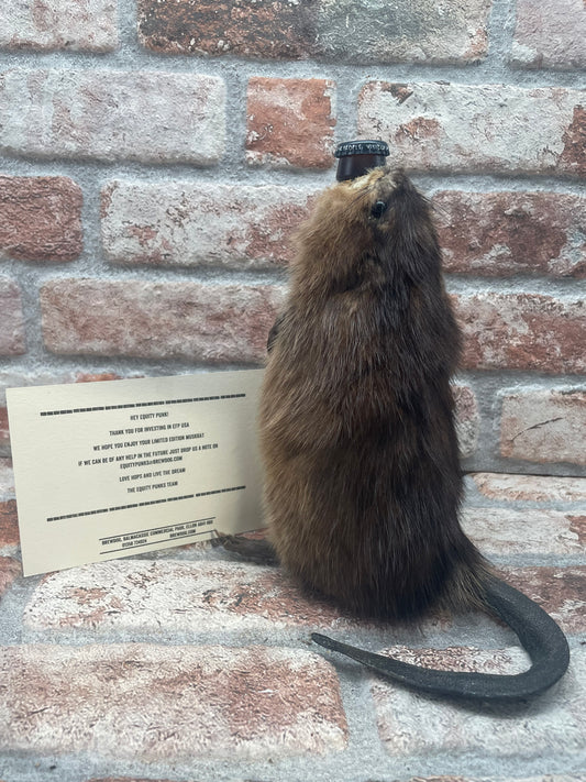 Brewdog Fine Della Storia (Non In Vendita) Ijsbock - 33 CL