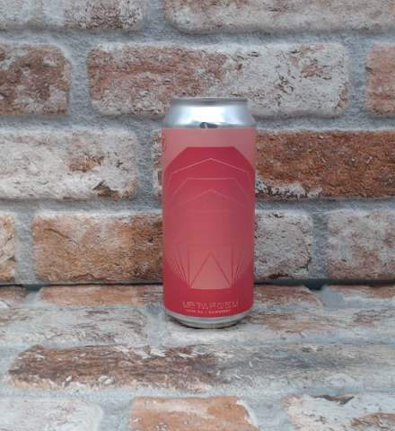Homes Metaform Sour IPA Lampone - 47.3 CL (1 pinta)