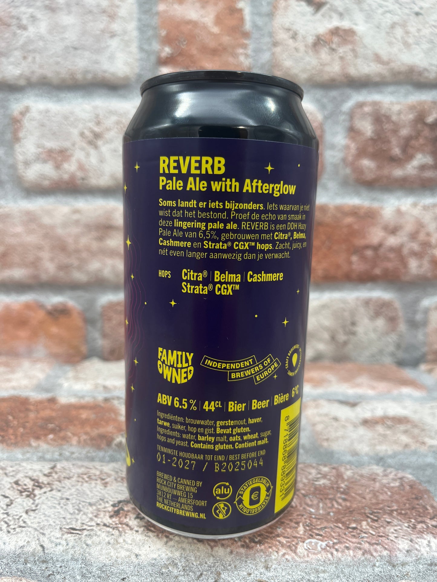 Rock City Reverb Pale Ale con Afterglow IPA - 44 CL