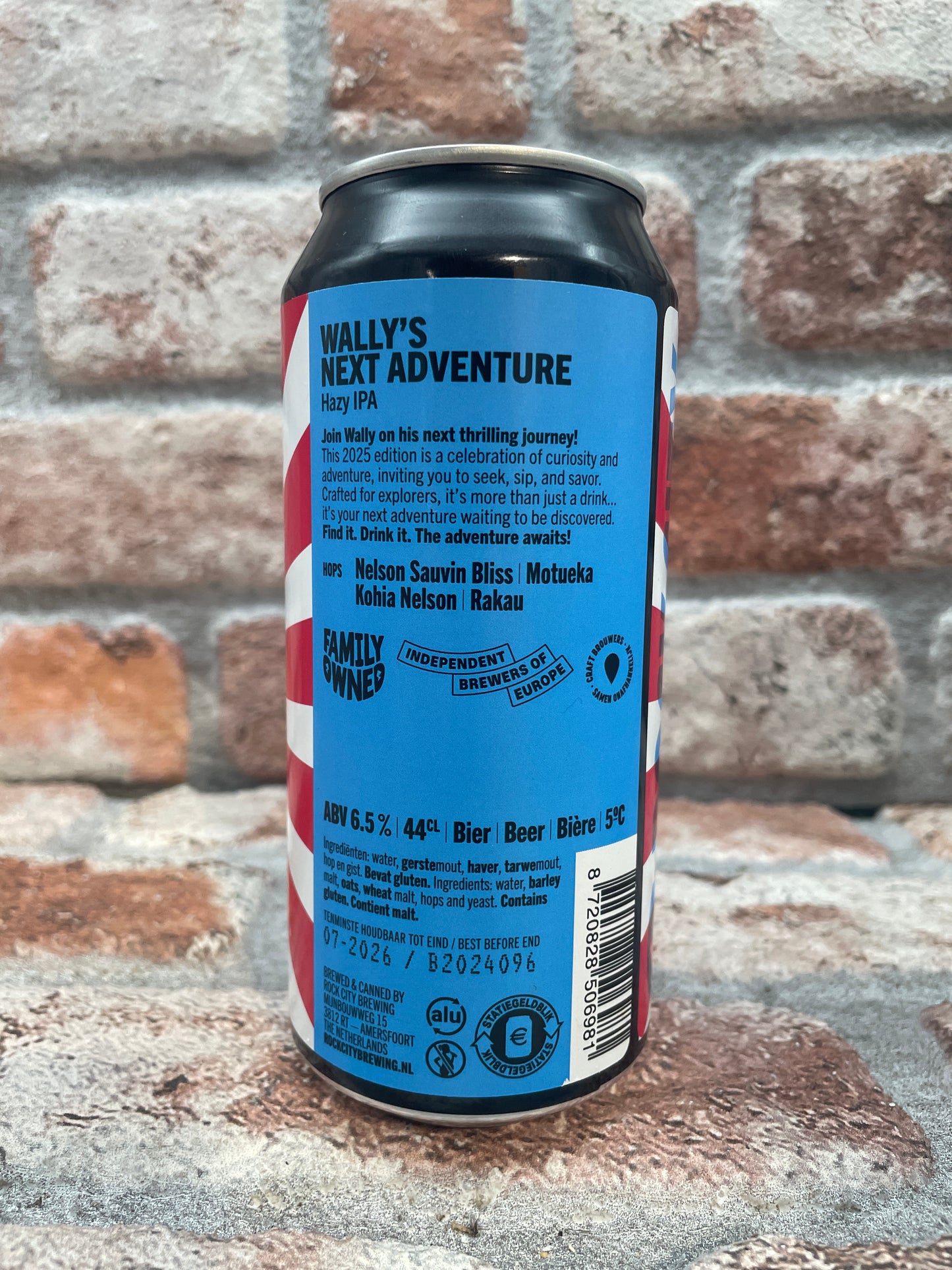 La prossima avventura di Rock City Wally Hazy IPA - 44 CL