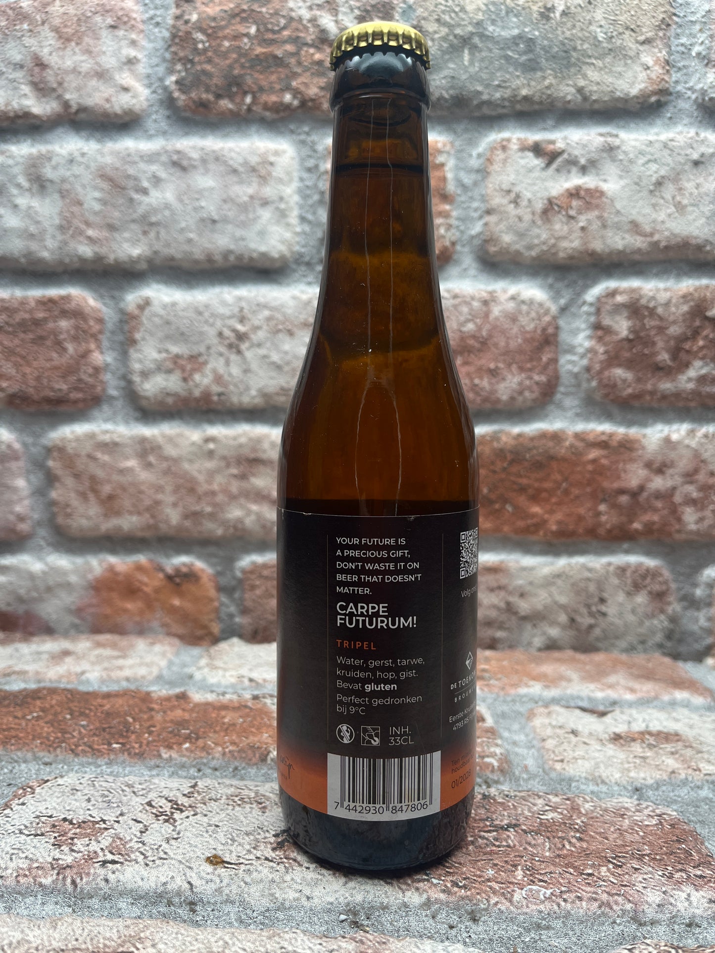 Brouwerij De Toekomst Futurum Tripel - 33 CL