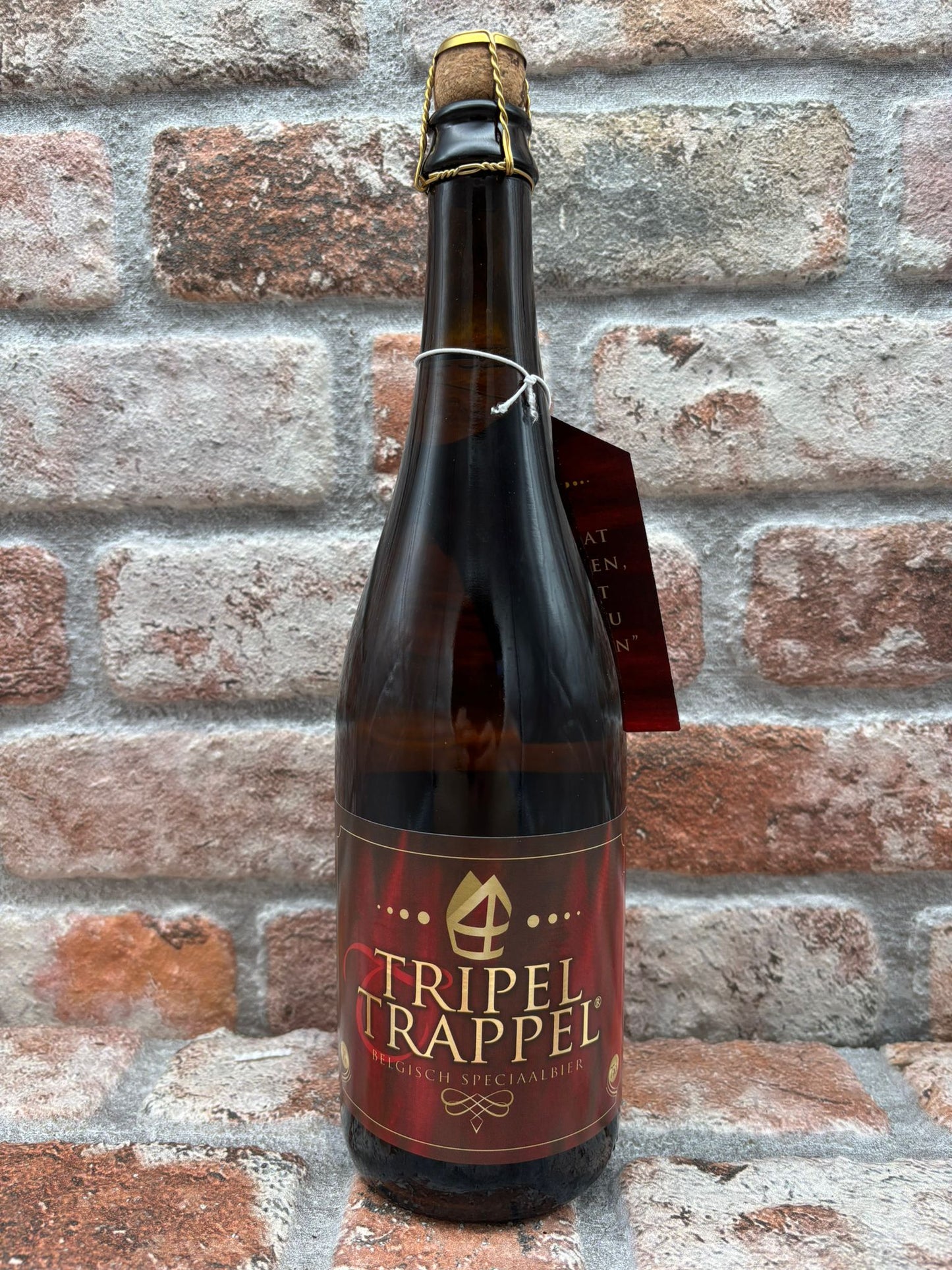 Birrificio Steenberge Tripel Trappel Tripel - 75 CL