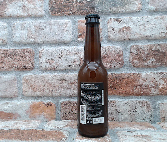 Birrificio de Molen Tropic & Phantasm NEIPA - 33 CL