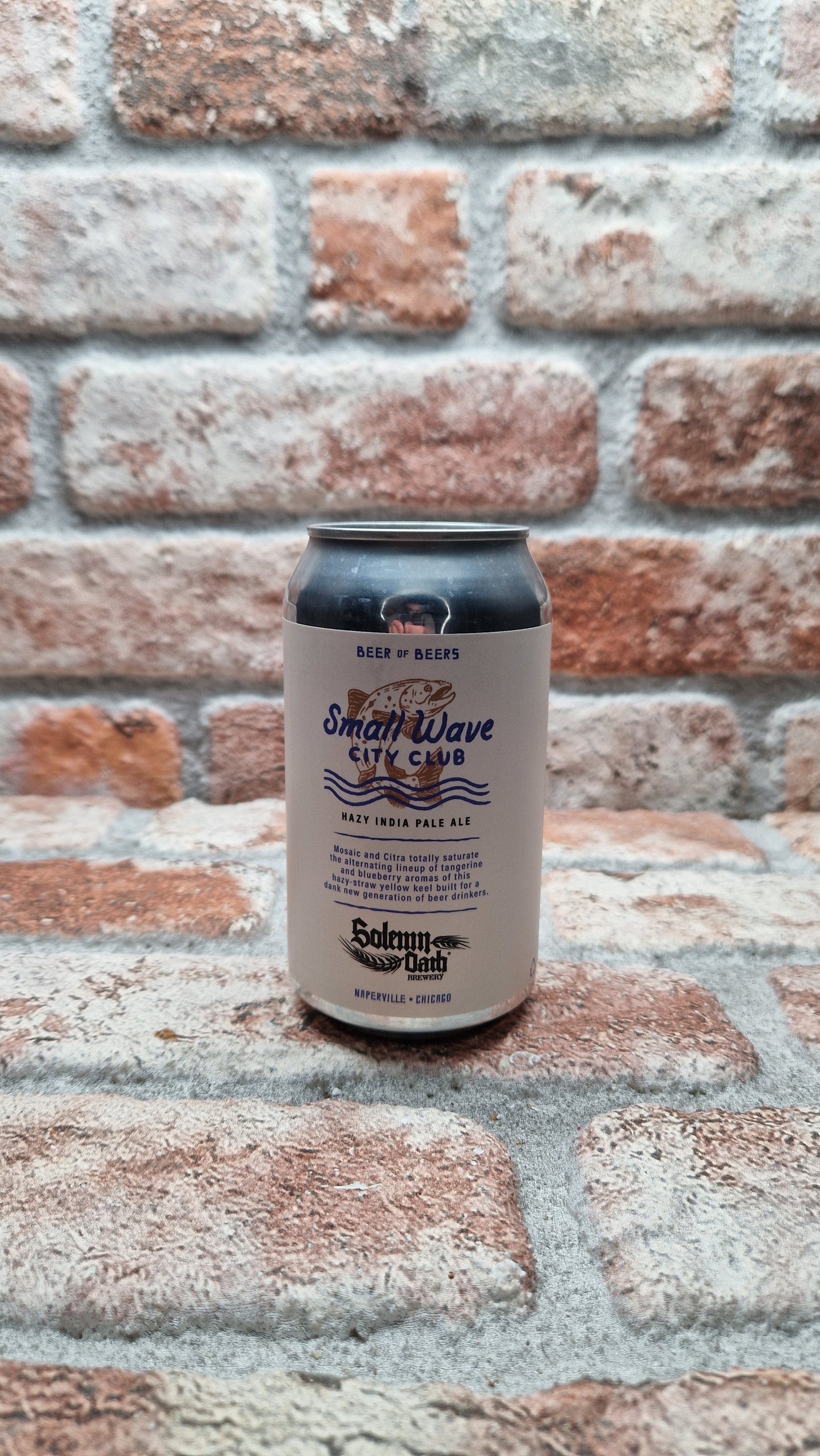 Solemn Oath Brewery Small Wave City Club IPA - 33 CL