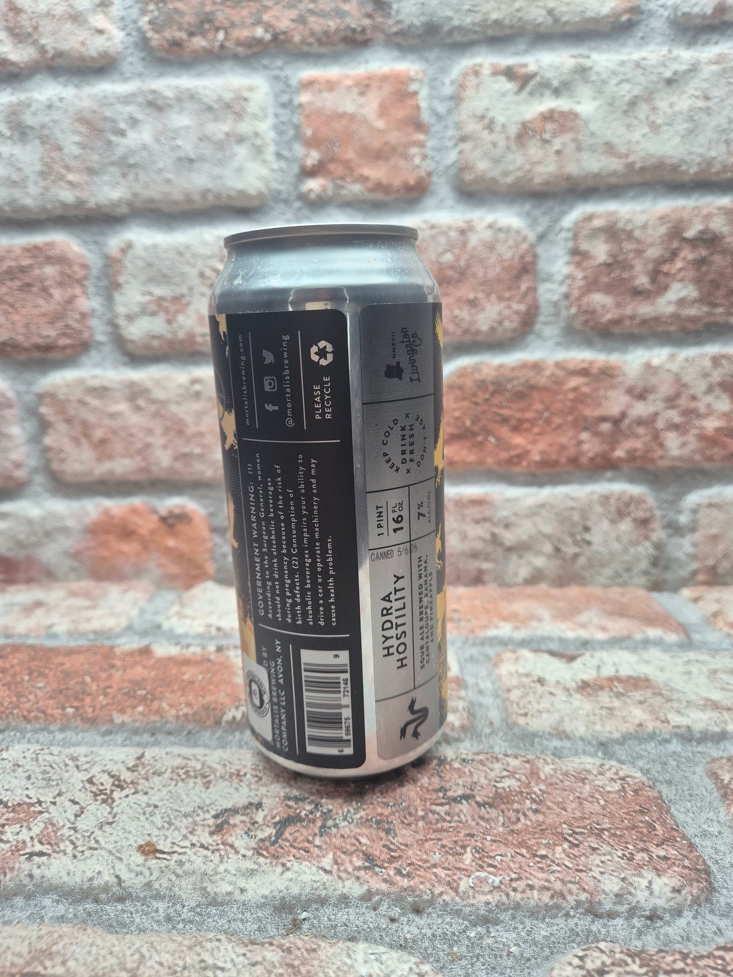 Mortalis Brewing Company Hydra | Hostility Sour - 44 CL