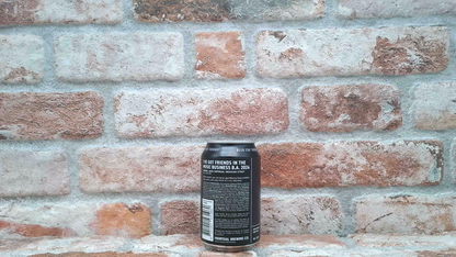 Frontale Ho amici nel mondo della musica B.A.2024 Stout - 33 CL