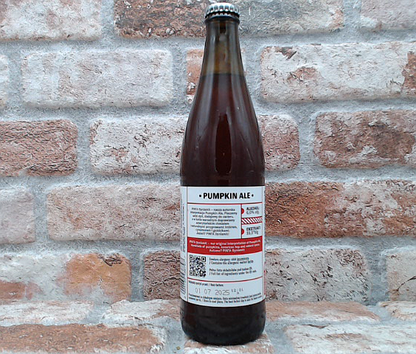 Pinta Dynianmit Birra Di Zucca - 50 CL