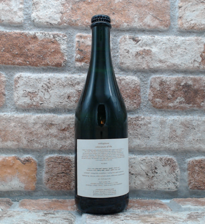 métaphore Colosseum Of Life Lambiek/Geuze - 75 CL