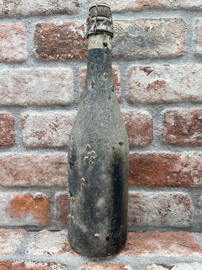 Birra Champagne De Goede & De Stoute Vuurzee Sea Aged 2022 - 75 CL
