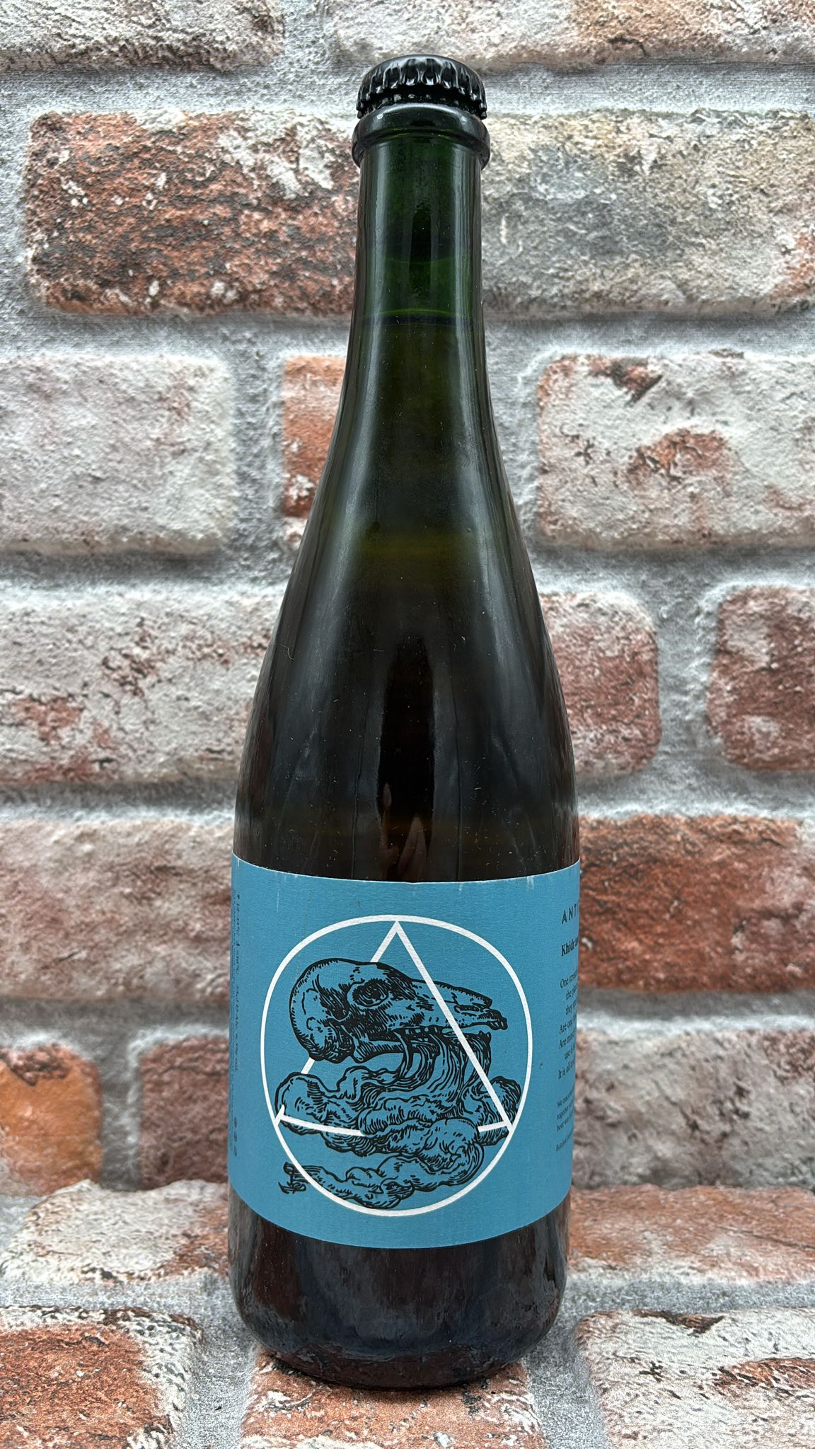 Antidoot Khidir e la Fountain Wild Ale - 75 CL
