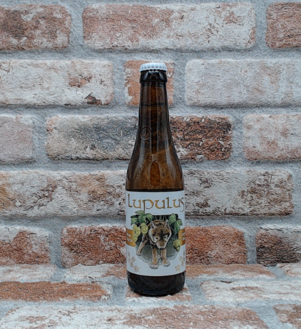 Lupulus Tripel - 33 CL