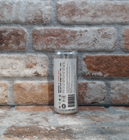 Brewski & Bottle Logic Il gioco del decollo Stout - 33 CL