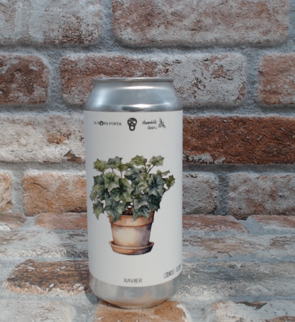 Il Pirata Xavier IPA - 44 CL