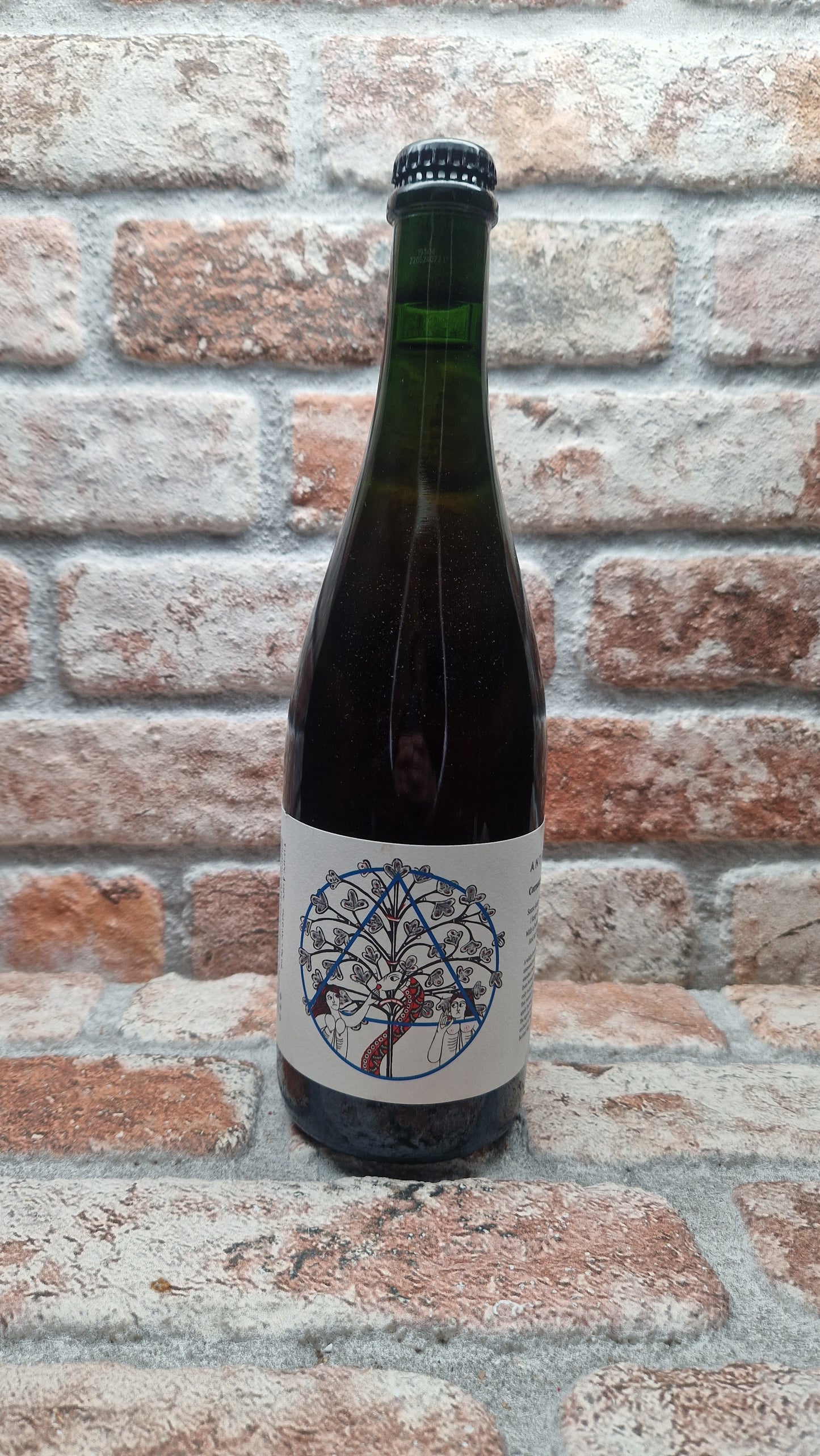 Antidoot Cornucopia Cabernet 2023-2025 Cider - 75 CL