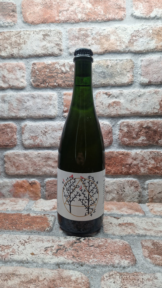 Antidoot Proceeds The Gentain -Tarocco 2025 Wild Ale - 75 CL