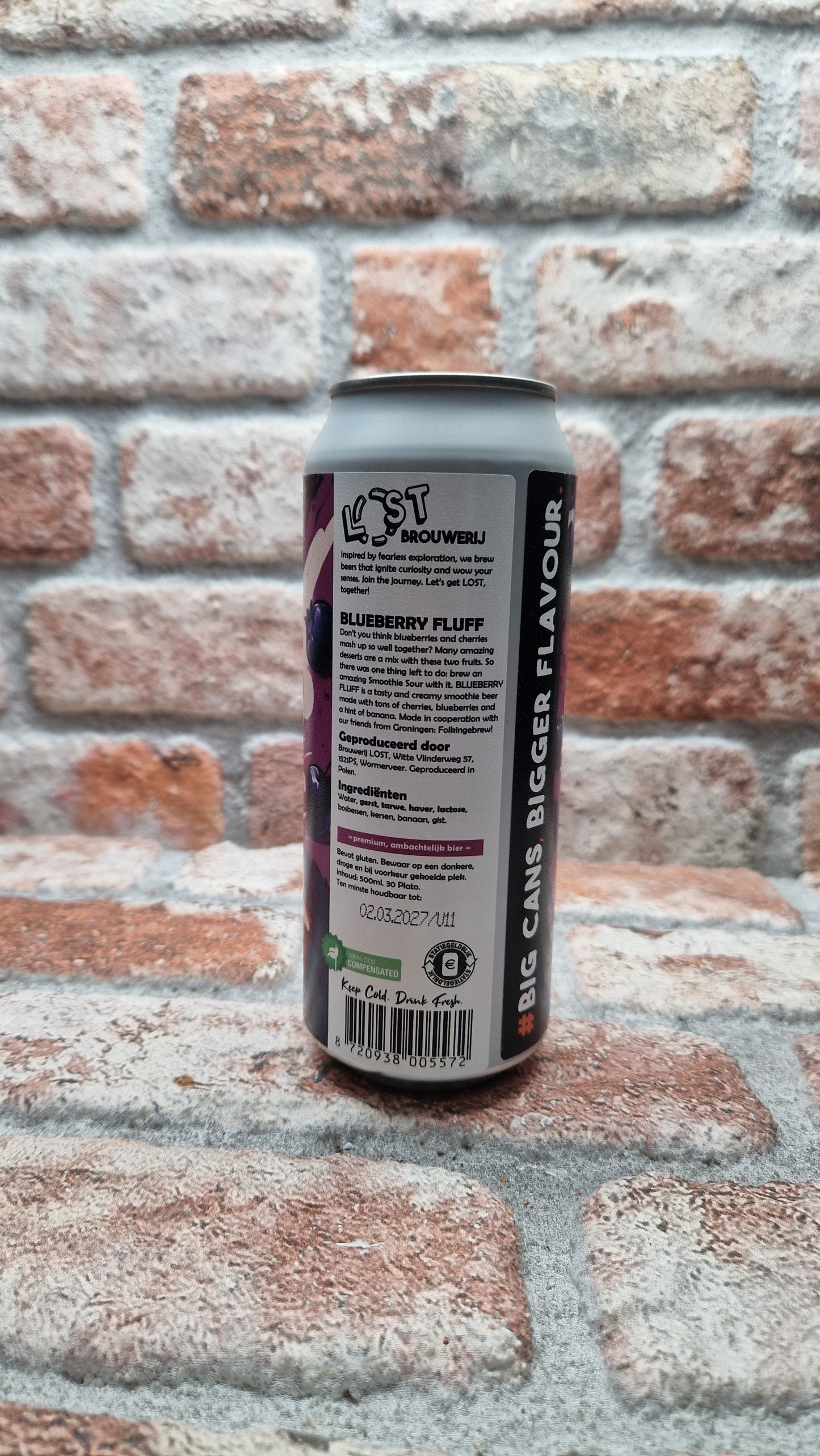Brouwerij Lost BLUEBERRY FLUFF Sour - 50 CL